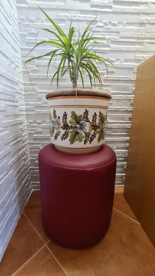 בלגרד Apartment Akacija Gardens מראה חיצוני תמונה
